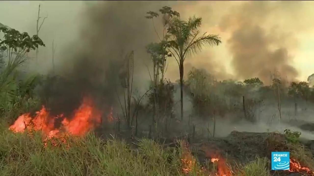  Fires rage across Amazon rainforest, sparking fears of another disastrous summer season
