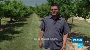 Concern over Covid-19 risk for Mexican farm workers in Canada