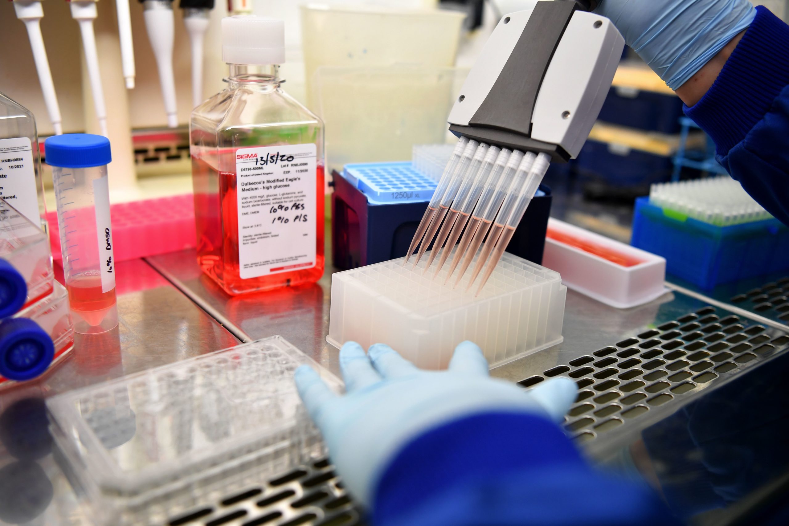  UK snubs EU invitation to purchase vaccines, choosing to go it alone