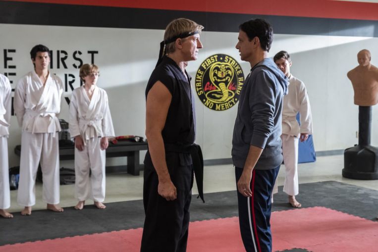  Acclaimed TV series Cobra Kai picks up story of The Karate Kid 30 years later