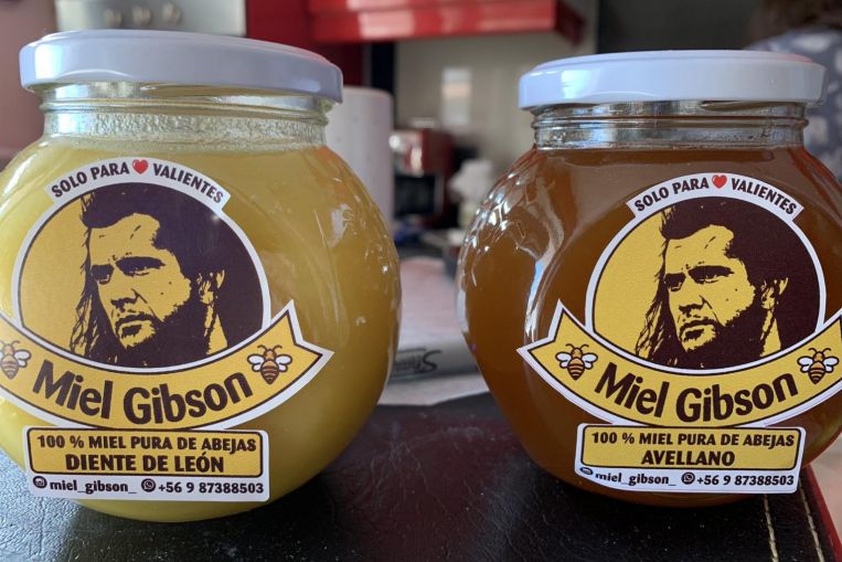  Miel Gibson: Chilean honey vendor in sticky situation with Braveheart star