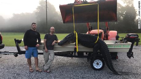 Two Mississippi boaters reel in a massive one-eyed alligator weighing over 477.6 pounds