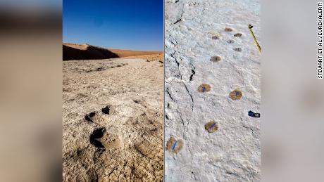  120,000-year-old footprints found in Saudi Arabia — and they might be human