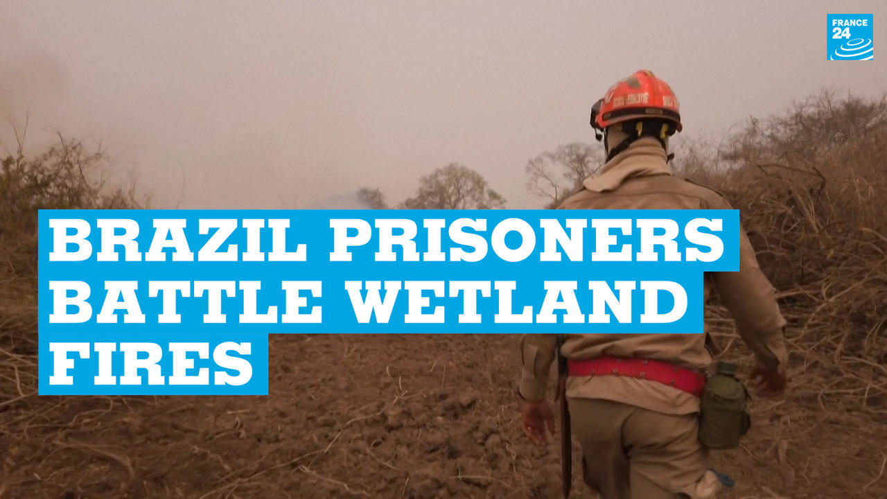  The Brazilian prisoners battling wetland fires