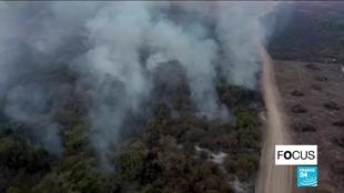  Up in smoke: Brazil’s Pantanal region engulfed by flames