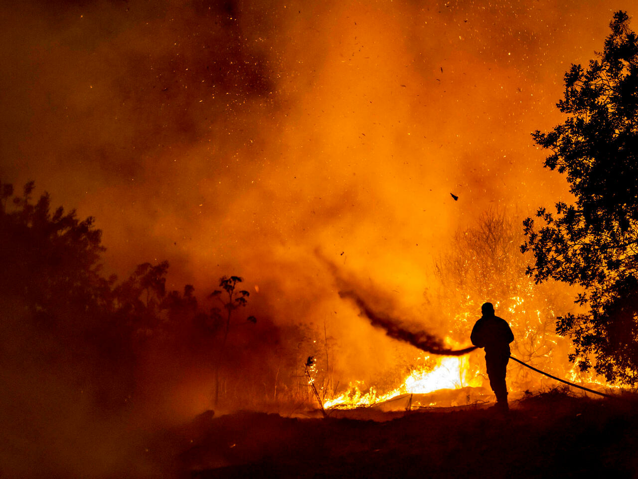  Casualties Reported in Cyprus’ Forest Fire