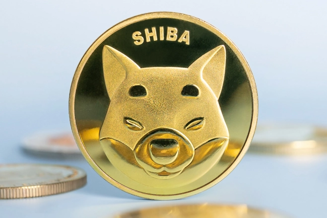 Shiba Inu Price Prediction 2030