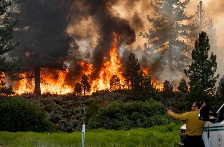  UN: More Extreme Wildfires Expected