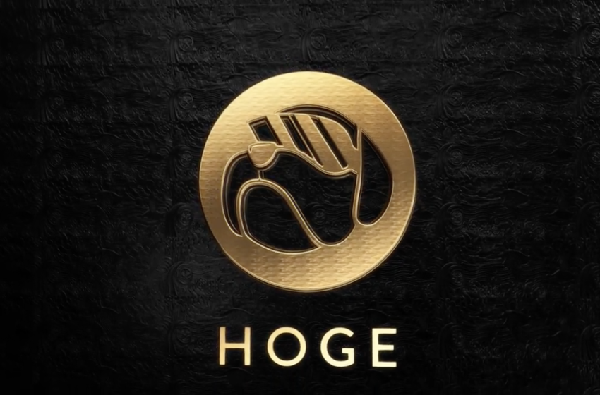  HOGE Price Predictions 2022, 2025, and 2030 | HOGE Price Analysis