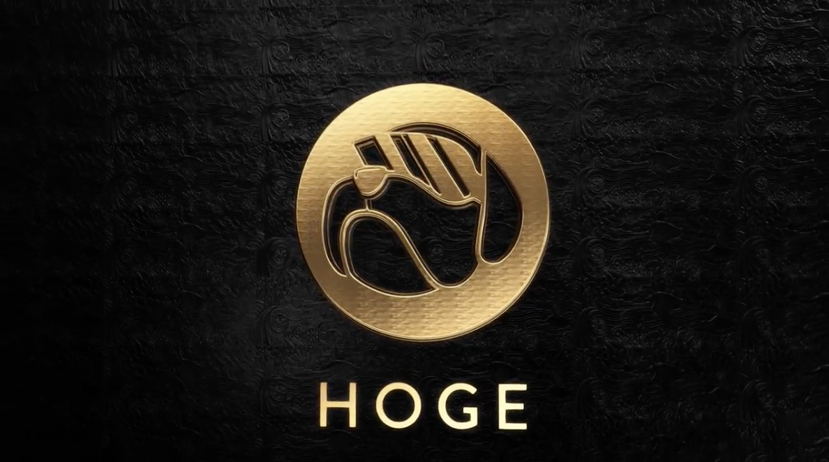 In 2030, the value of Hoge Finance is going to reach a minimum of $0.003. Throughout 2030, the Hoge coin price might get a high of $0.004 with an average transaction price of $0.003.