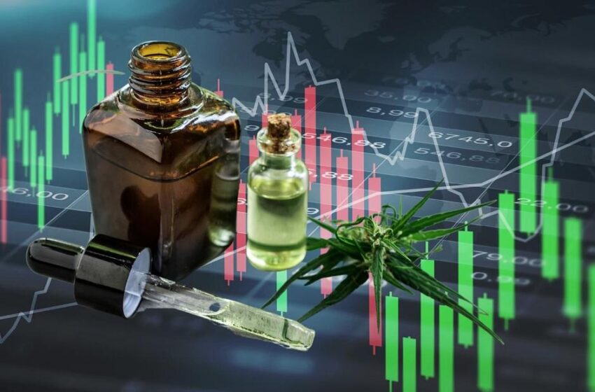  Online Trading Platforms For CBD Products Launched In Europe