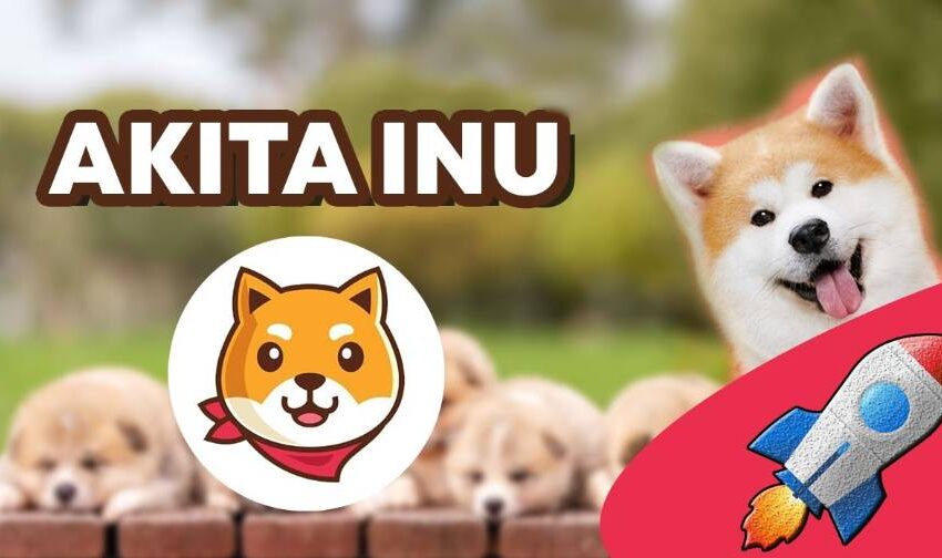  Akita Inu Price Prediction 2022, 2025 and 2030