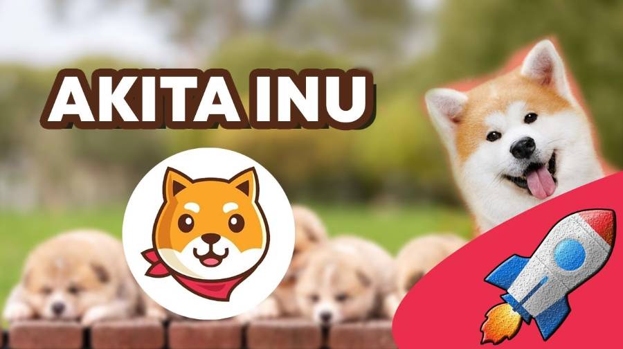 Illustration of Akita-Inu-Coin