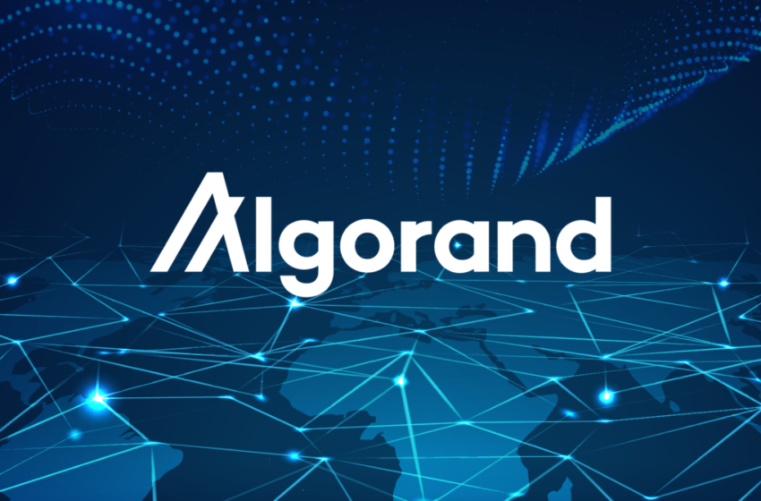  Algorand Price Analysis & Prediction