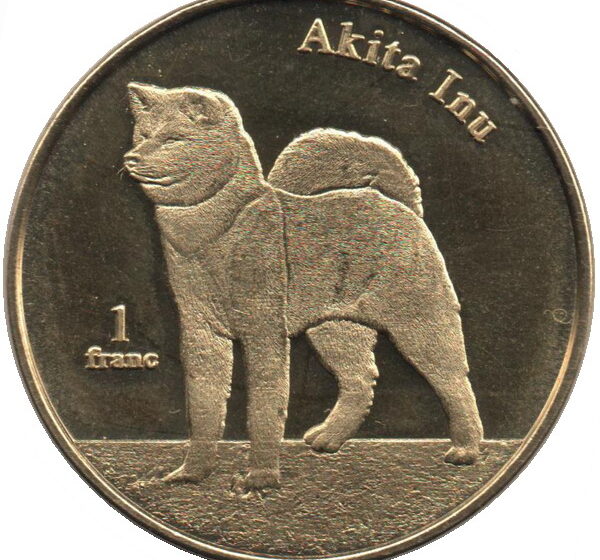  Akita Inu Coin: Everything You Need to Know