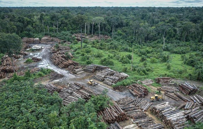  Brazil’s Amazon Reaches New Deforestation Record