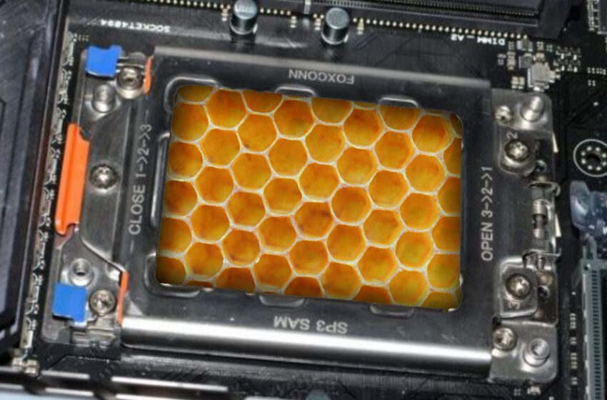  Study: Honey Used to Make Computer Chips