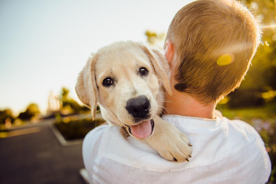 a pet hugs his owner