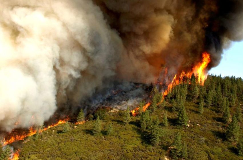  Wildfires Hit Europe Amid Unusual Heatwave