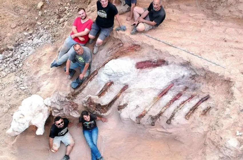  Huge dinosaur skeleton unearthed in Portuguese garden