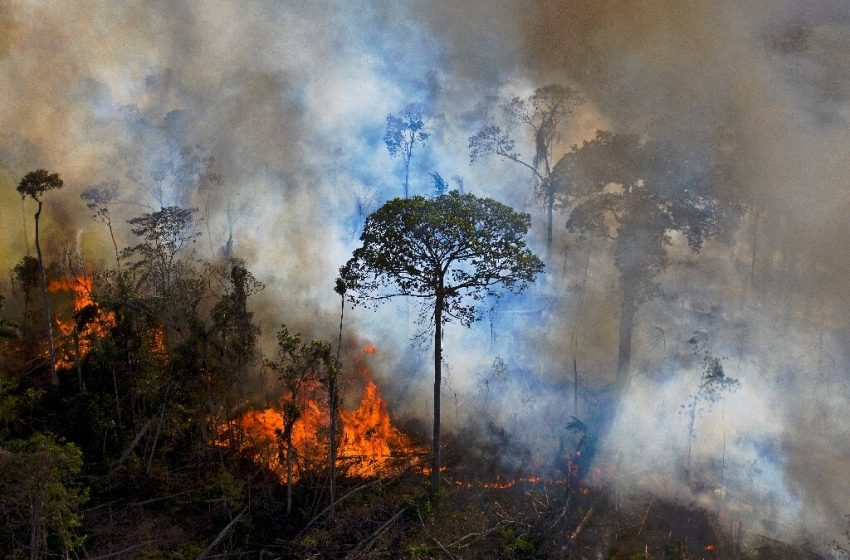  Amazon Faces Worst Fires in Decade