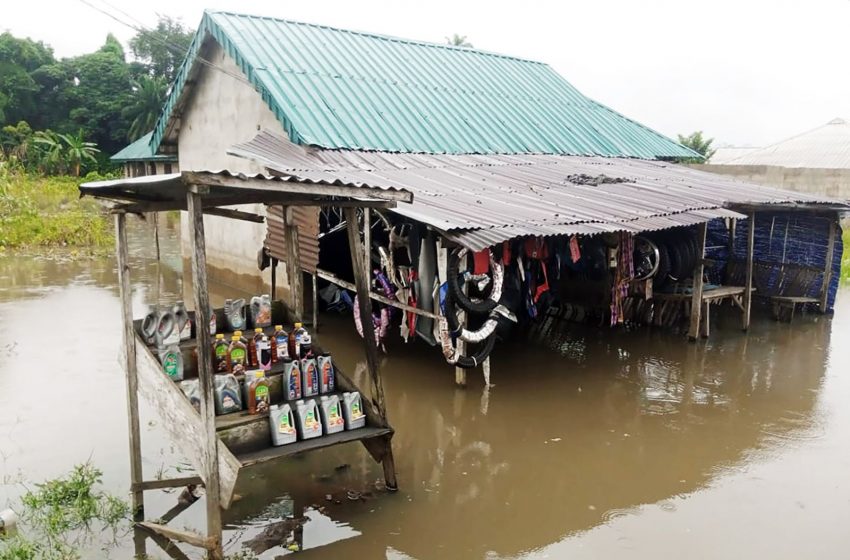  600 Dead in Nigeria’s Flooding