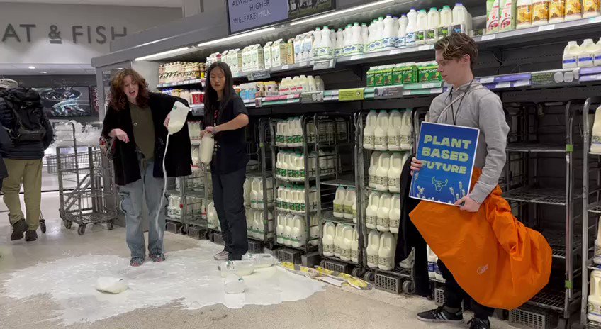  Climate Activists Pour Milk in UK