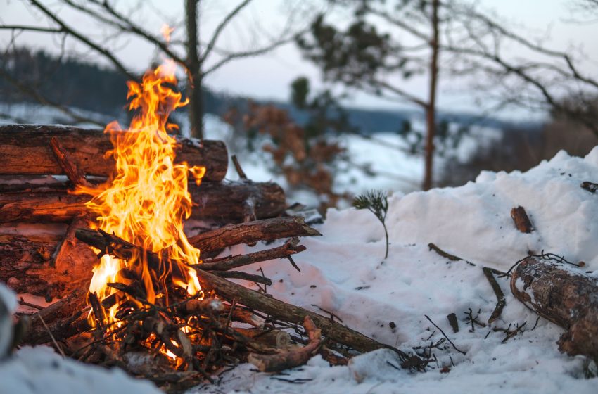  Europe Witnesses Unusual Warm winter