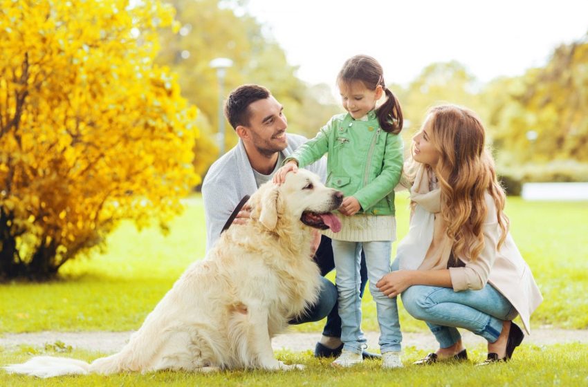  Five Benefits of Family Pets