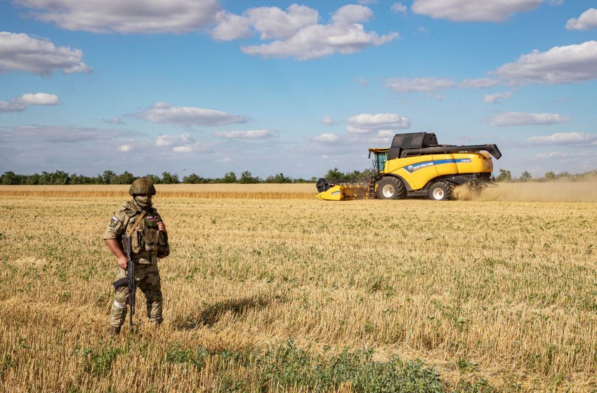  EU Appeals for Cooperation Over Ukraine Grain Imports