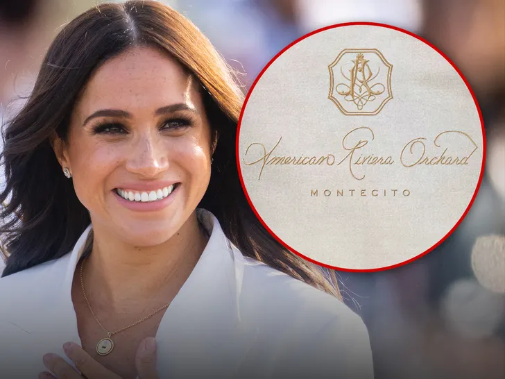  Meghan launches her first business brand