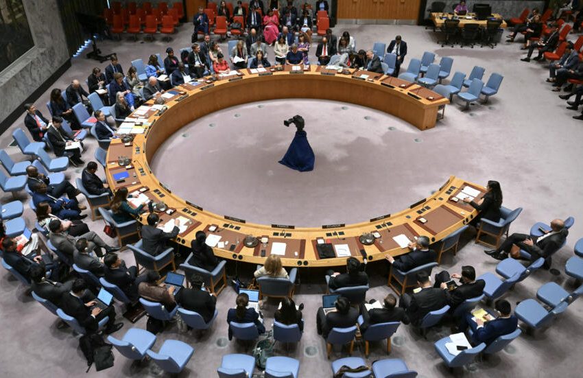  UNSC adopts US resolution calling for ‘immediate ceasefire’