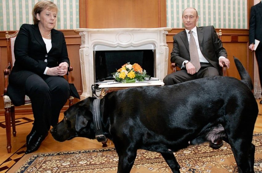  Putin denies trying to intimidate Merkel with dog Kony