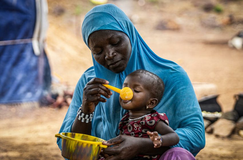  UN :One-third of Central African population faces acute hunger