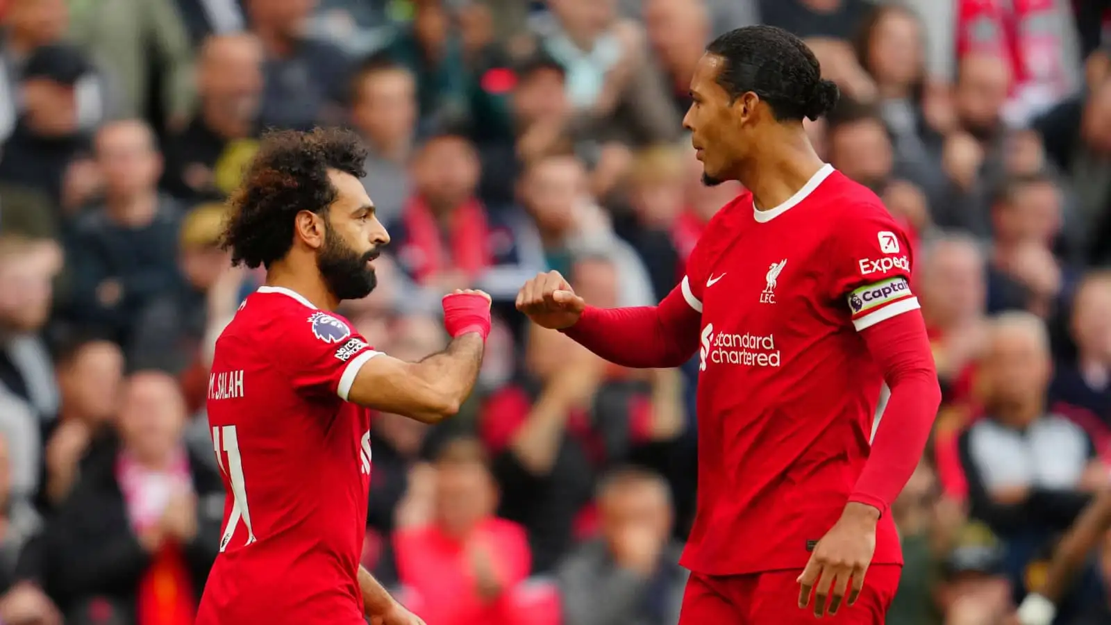 The Reds
