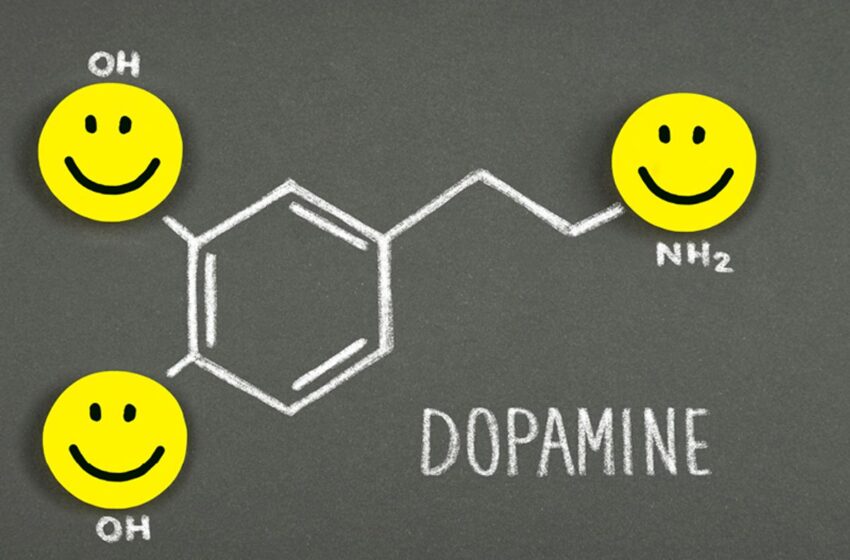  How do we stimulate Dopamine..the hormone of happiness?